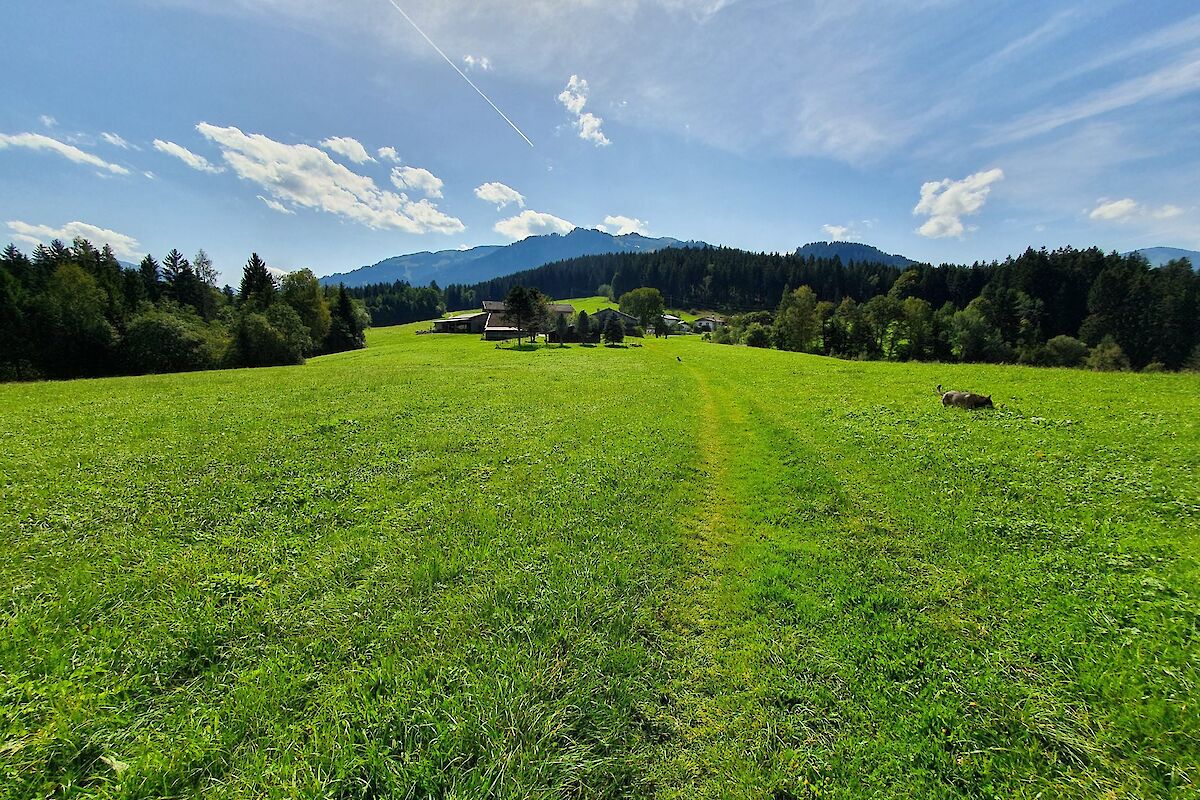 Agricultural land, meadow and forest plots