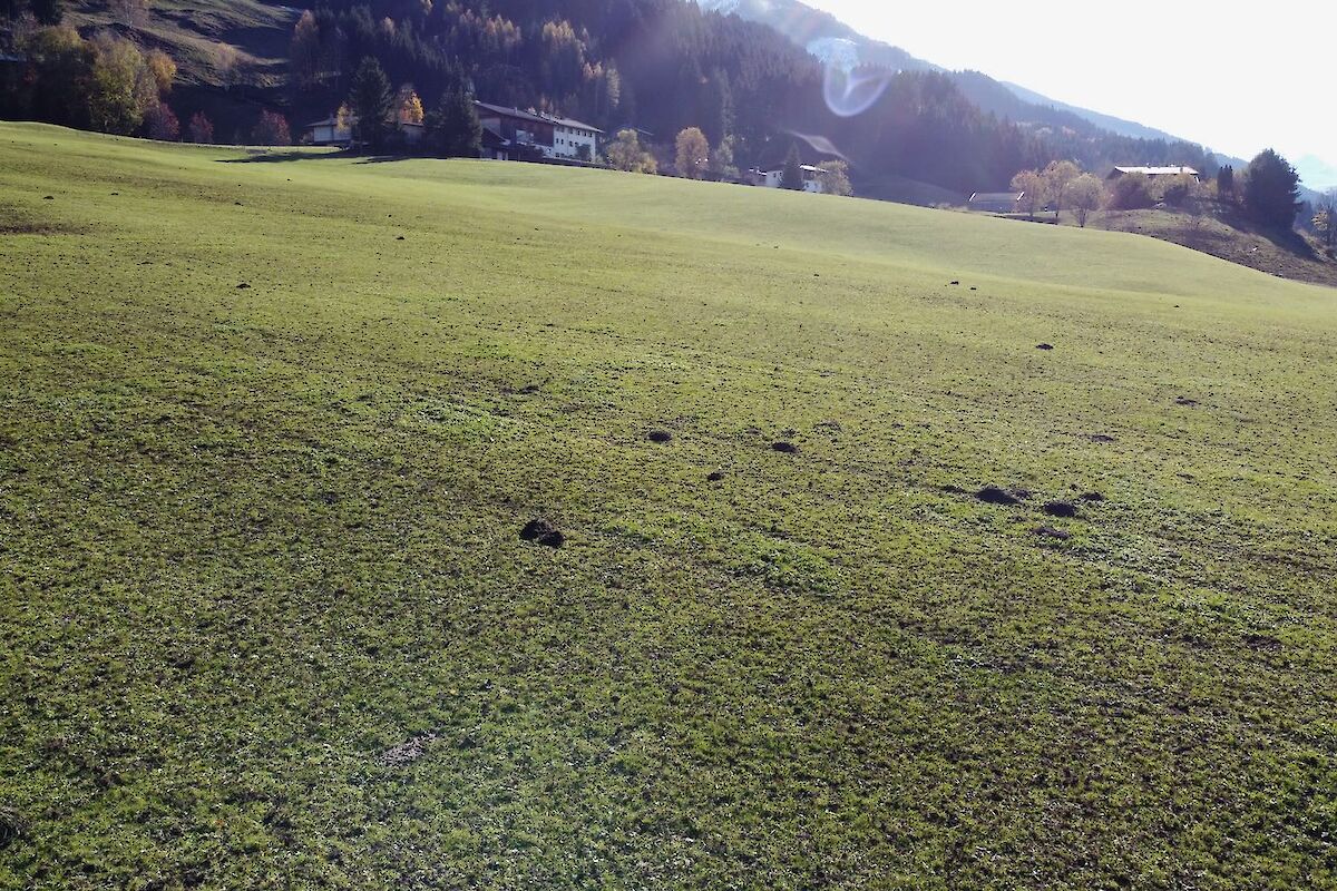 Baugrund mit Blick auf die Wurzhöhe und das Kitzbüheler Horn