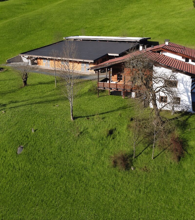 Landhaus mit Pferdestall,  Lagerhalle,  Garage in traumhafter Lage